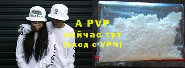 индика Зеленокумск