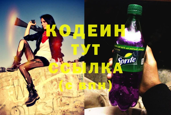 PSILOCYBIN Каменка