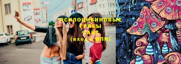 PSILOCYBIN Каменка