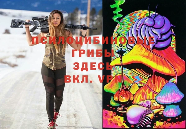 мяу мяу мука Каменногорск