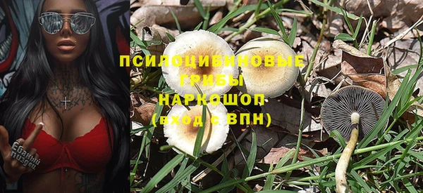 мяу мяу мука Каменногорск