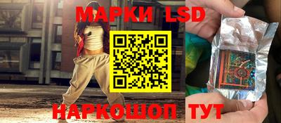 стаф Заводоуковск