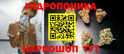 гидра Жуковский