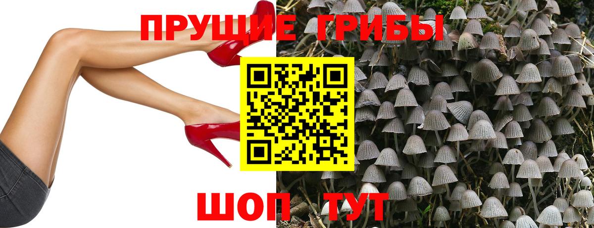 Галлюциногенные грибы ЛСД  Вход с VPN  купить  цена  Междуреченск 